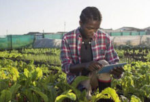 RENFORCEMENT DE CAPACITES: L’Union Africaine lance des bourses de Master et de formations courtes en recherche et innovation agroalimentaire