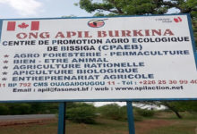 BURKINA FASO : Le CPAEB, l’univers du tout bio