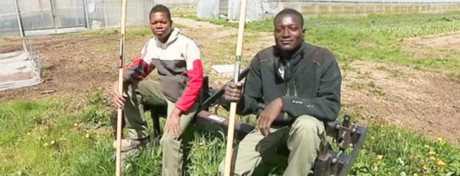 VALDOIE: Deux jeunes Burkinabè en formation au lycée agricole.