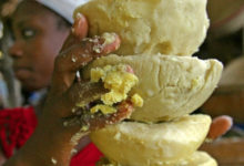 MALI: INDUSTRIE: Une usine de production de beurre de Karité bientôt à Bamako