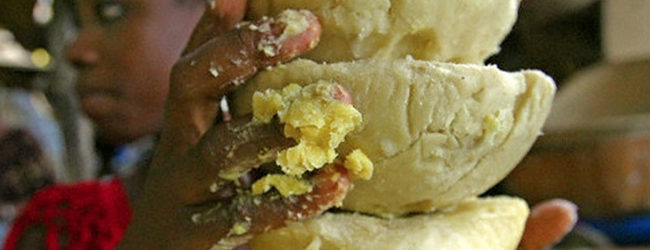 MALI: INDUSTRIE: Une usine de production de beurre de Karité bientôt à Bamako