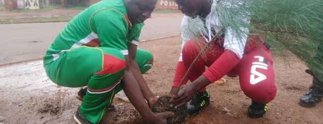 Environnement : Les travailleurs de la mairie de Koudougou œuvrent utile pour l’avenir