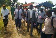 AGRICULTURE : Les autorités de la région du Centre-ouest à la découverte du bas-fond rizicole de Youloupo