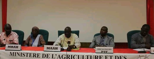 Burkina Faso : Campagne Agricole 2019 : Le bilan jugé passable avec 2,92% de baisse de la production céréalière