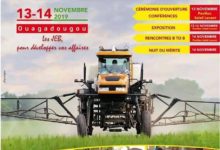 Journées de l’Entreprenariat Burkinabè : La 14è édition va s’intéresser aux agri-preneurs