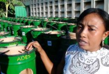 Nelly Rasandy de GIZ Madagascar : « Mon pays est engagé dans la restauration des sols de 40 000 hectares de forêts détruites »