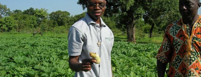 Claude Arsène Savadogo, BIOPROTECT : « Nous voulons apporter une réponse qui permet d’augmenter et de sécuriser les rendements agricoles tout en préservant l’homme et l’environnement »