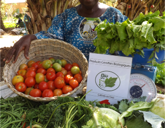 Agriculture Biologique : L’association La Saisonnière vend la santé et le bien être dans le plat des consommateurs Burkinabè
