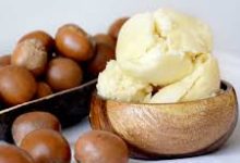 Le beurre de karité un trésor de la nature aux multiples vertus pour la peau