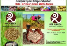 Foire Agro-Sylvo-Pastorale de l’ONG RES PUBLICA : Une solution pour juguler la pauvreté à Nanoro