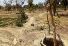 Burkina Faso :                    Les Agro-pasteurs de Rissi sont à sec