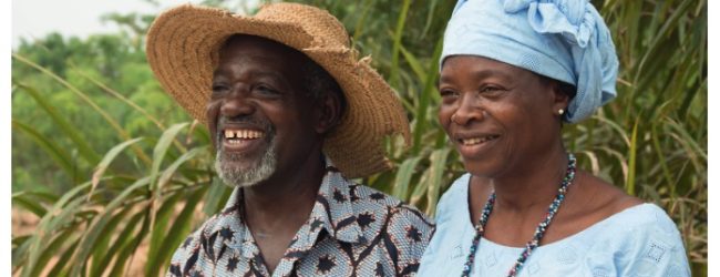 Au Togo, une ferme pédagogique pour lutter contre l’exode rural
