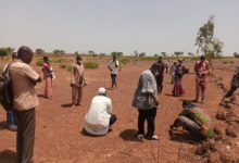 Burkina Faso:Agriculture:                             Des producteurs du Centre-ouest apprennent à restaurer naturellement leurs sols