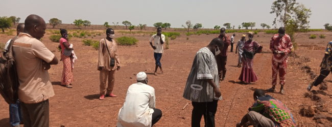 Burkina Faso:Agriculture:                             Des producteurs du Centre-ouest apprennent à restaurer naturellement leurs sols