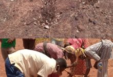 Projet Climat:                       Une force qui tacle la sahélisation du Centre-ouest Burkinabè