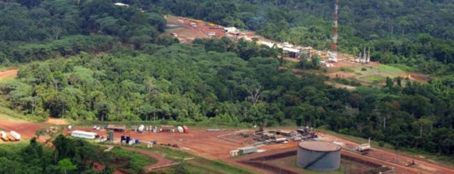 Gabon :          près de 400 cas de Covid-19 sur 3 sites pétroliers