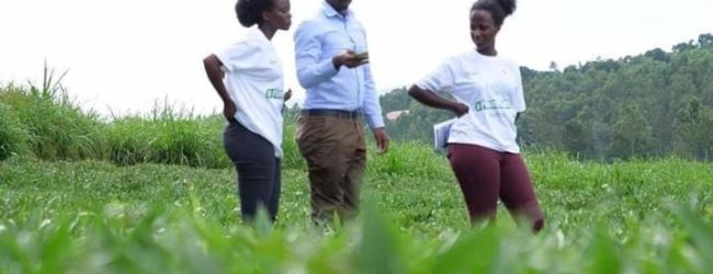 Au Rwanda, la passion de l’agriculture branche les jeunes et stimule l’économie