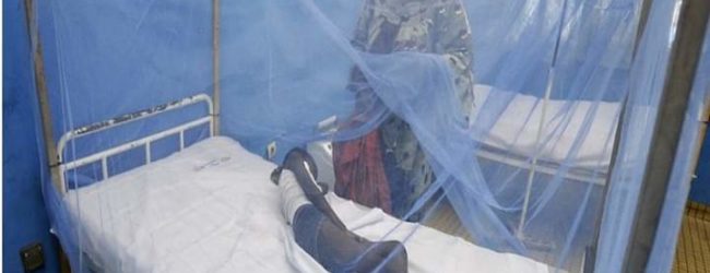 Paludisme :       le taux de mortalité en Côte d’Ivoire en baisse de 50% de 2017 à 2020