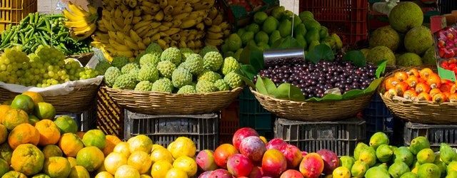 Togo – Fruits et légumes :         les pertes pour mauvaise conservation estimées à 46 milliards FCFA