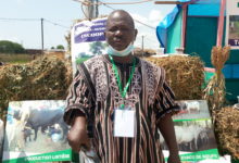 Paré Olivier: “Notre perspective est de vulgariser en 5 ans la semence fourragère au Burkina Faso.”