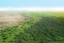 Le projet de la Grande Muraille Verte reçoit plus de 14 milliards de dollars pour reverdir le Sahel.