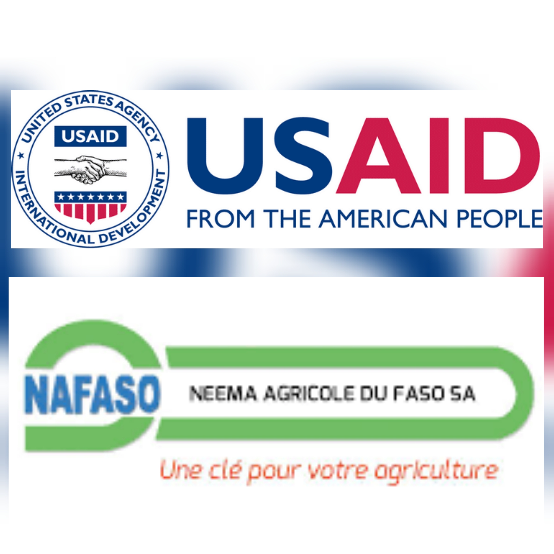 L’USAID octroie $ 1 million à Nafaso au Burkina pour doper la filière riz