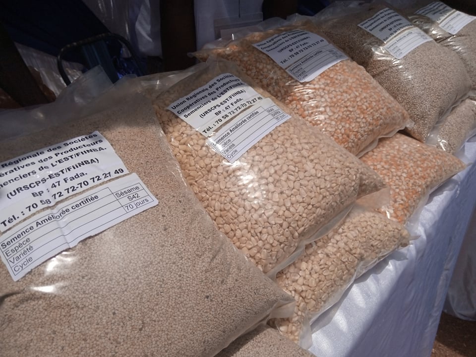 JEB FOODS Farine de manioc - Sac de 4,5 kg - Sans grain, sans