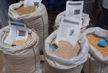 J-PROSAC 2 : 6 500 tonnes de semences cherchent acheteurs