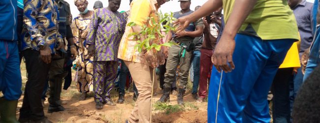 Campagne de reboisement << Ouaga la verte>>: 1200 plants mis sous terre
