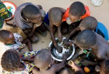 Niger : près de 600 000 personnes exposées à l’insécurité alimentaire