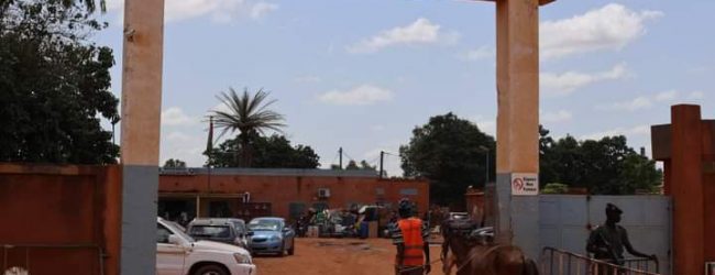 Ouagadougou : 300 têtes d’animaux mis en Fourrières en septembre ( Police Municipale)