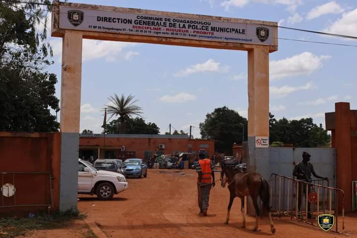 Ouagadougou : 300 têtes d’animaux mis en Fourrières en septembre ( Police Municipale)