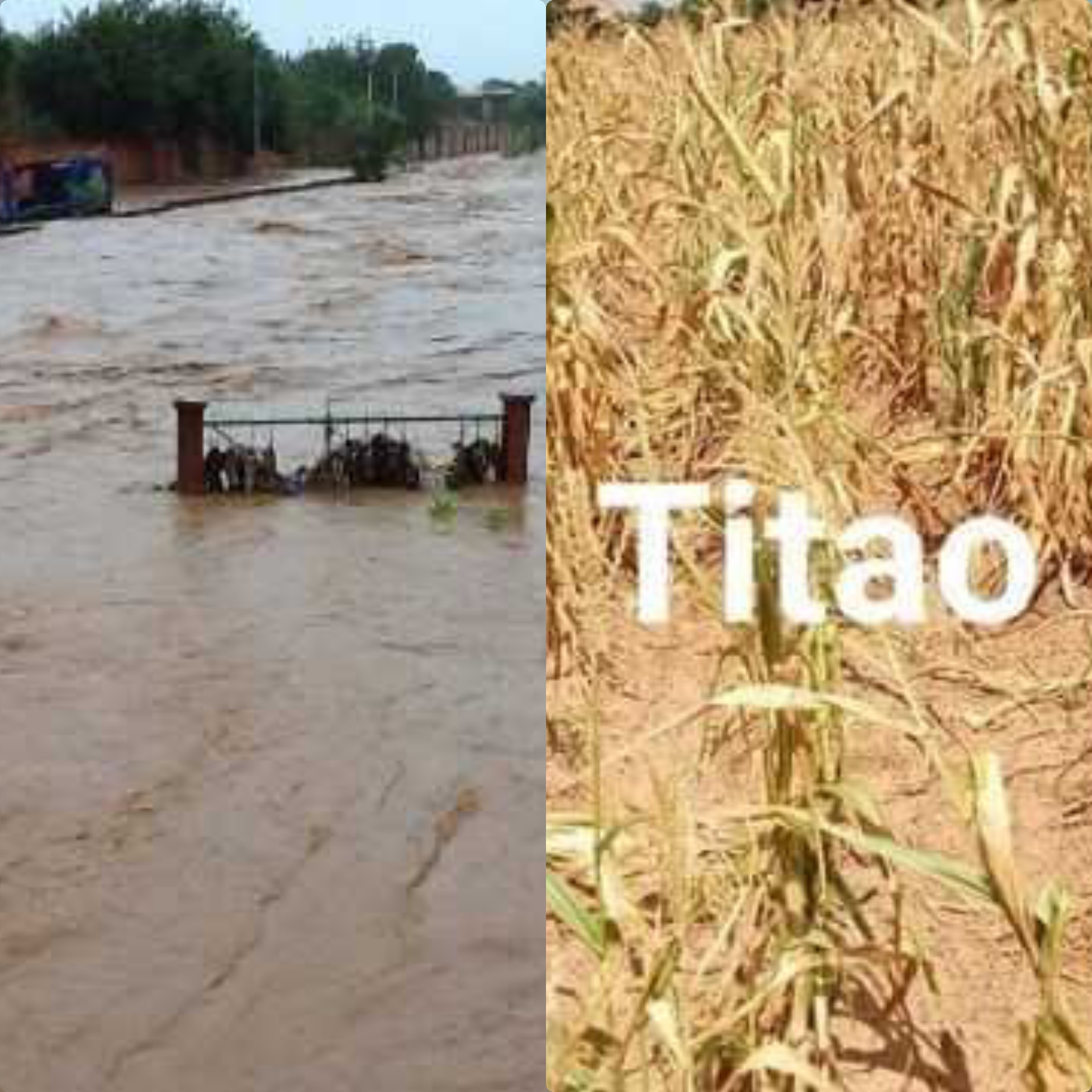 Burkina Faso : la campagne agricole a subit de plein fouet les effets de la sécheresse et des inondations