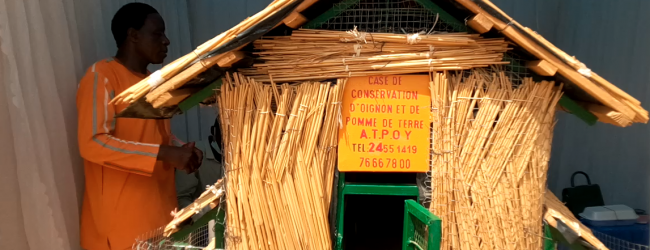Case Tilgr Baore, le grenier de conservation des produits maraîchers