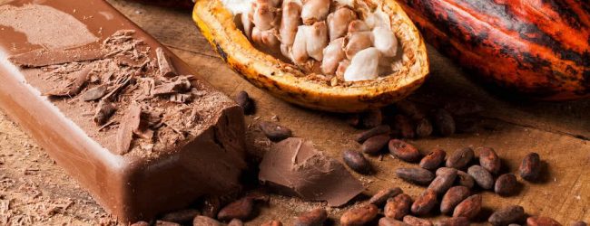 Agriculture : Le cacao ‘Made in Togo’ distingué à l’international