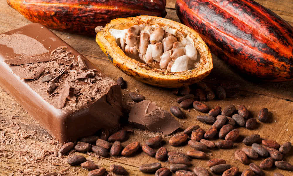 Agriculture : Le cacao ‘Made in Togo’ distingué à l’international