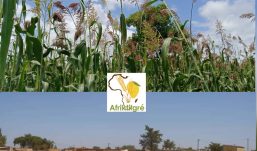 Burkina/Fusion Agriculture et Élevage : Il était temps