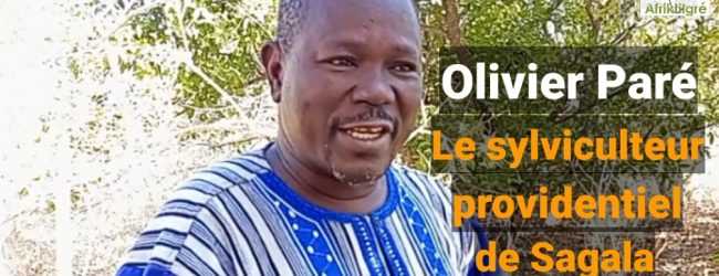 Olivier Paré : Le Sylviculteur Providentiel de Sagala