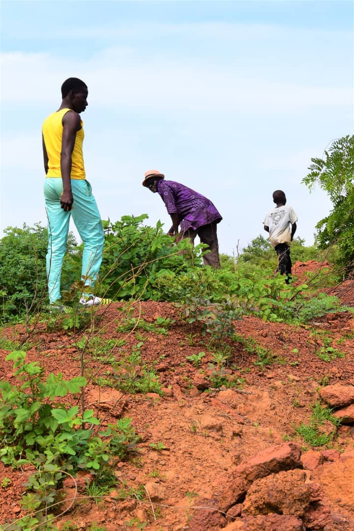 Burkina : Environnement : L’œuvre du « vieux » Yacouba Savadogo perpétuée par son fils