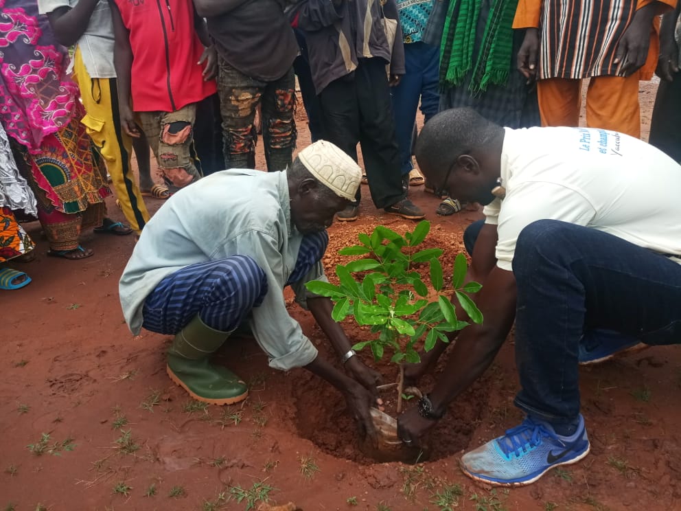 Burkina Faso : Bientôt une nouvelle forêt à l’image de celle de Yacouba Savadogo