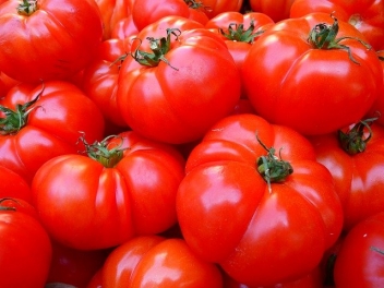 90% des tomates fraîches consommées au Ghana viendraient du Burkina