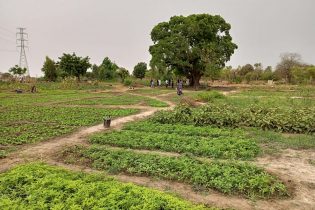 Burkina:10 milliards pour dynamiser la campagne agricole de saison humide 2022-2023