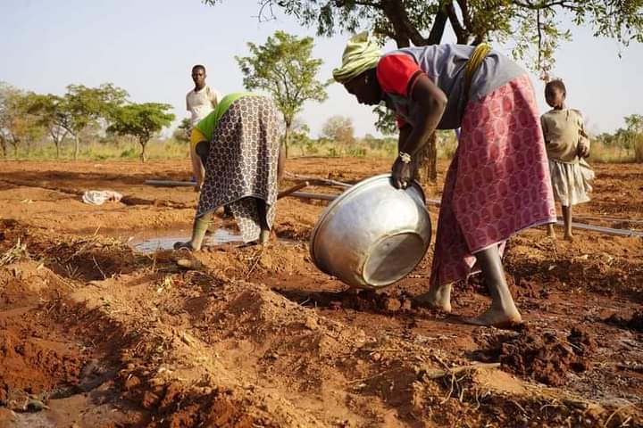 Tribune : “Les intellectuels burkinabè n’ont pas été utiles à notre secteur agricole.” Gérard Sanou Agriculteur