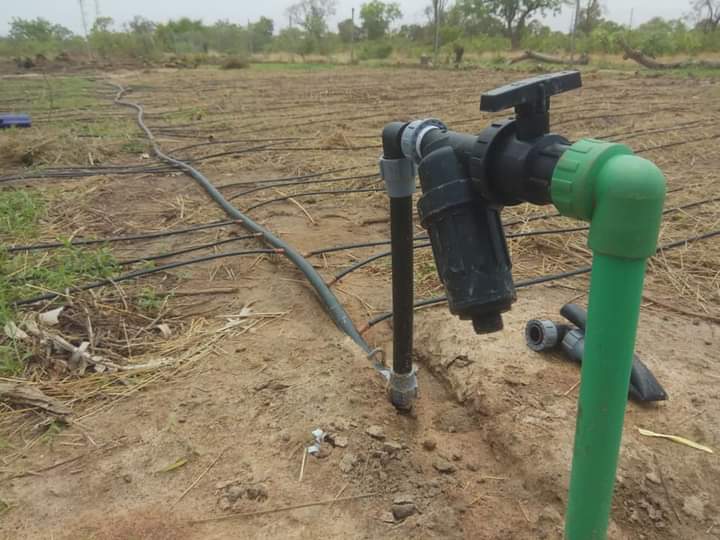 L’irrigation, parent pauvre d’une agriculture Burkinabè stagnante