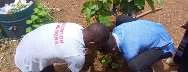 Reboisement : SOS Burkina apporte plus de verdure à l’école primaire Sinyiri C