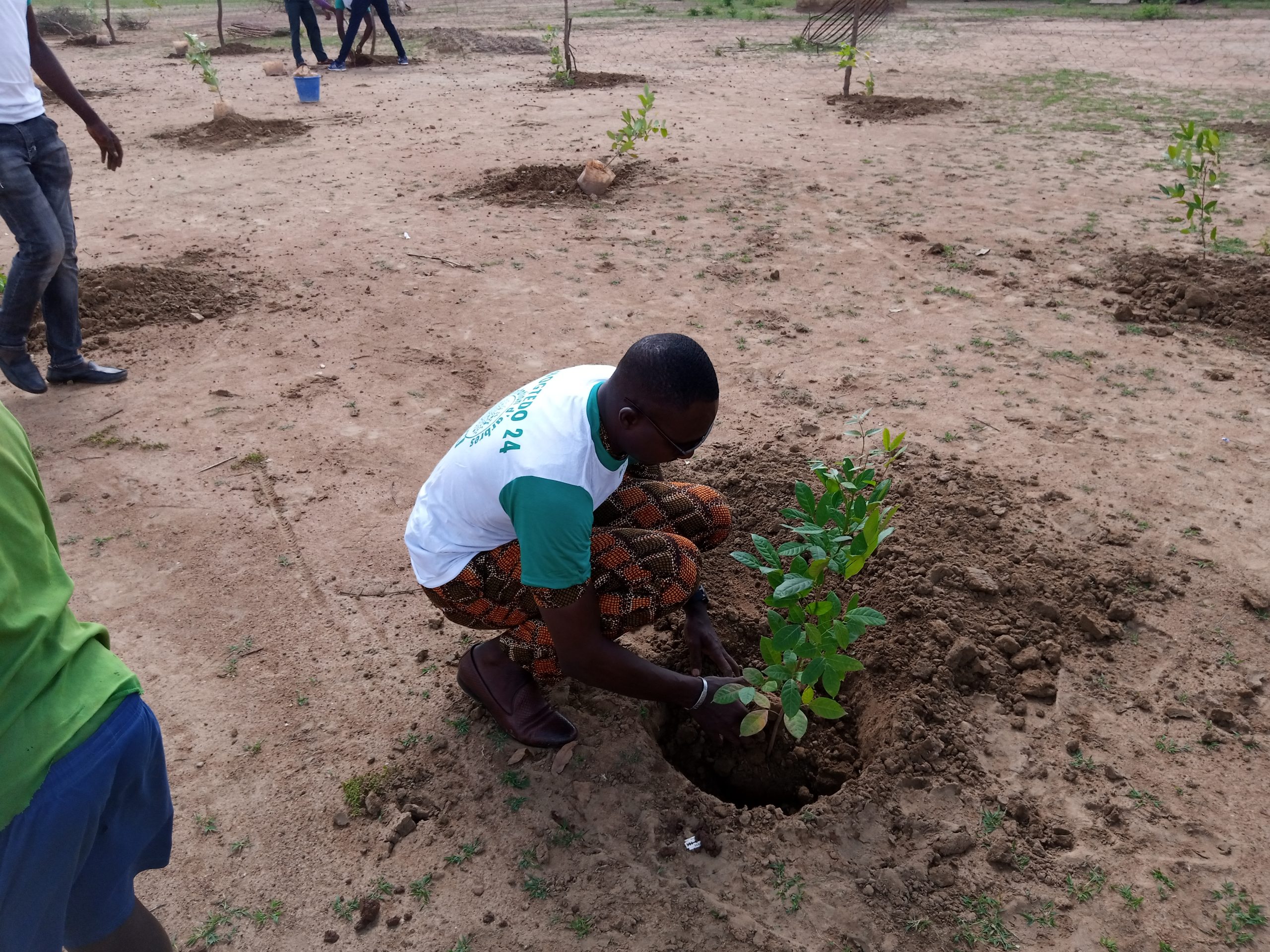 Environnement : Le Burkina Faso prévoit de planter 5 millions d’arbres en 2023