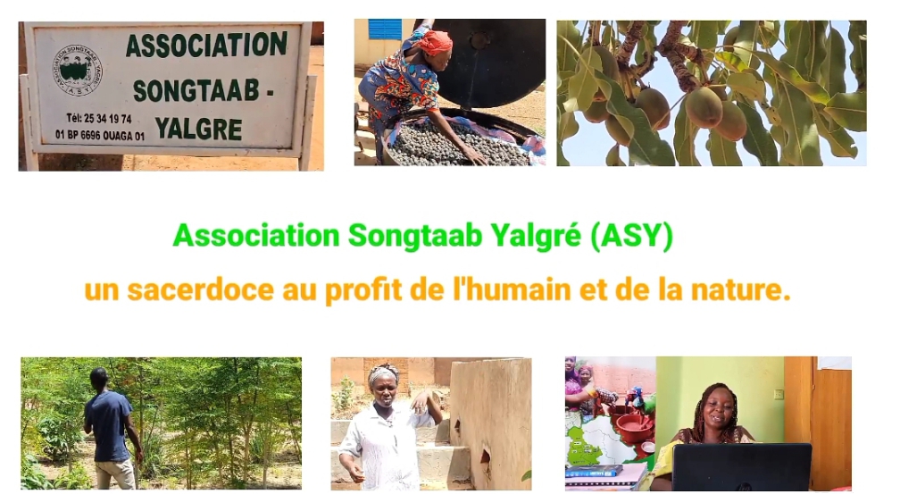 Association Songtaab Yalgré(ASY): un sacerdoce au profit de l’humain et de la nature
