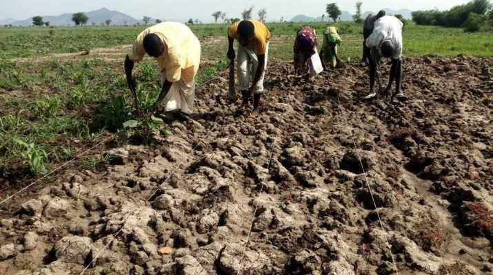 44 villages de la région de Maradi n’ont pas encore semé