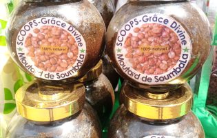 Produits forestiers non-ligneux : A la découverte de la moutarde de soumbala et du thé de moringa made in Burkina Faso