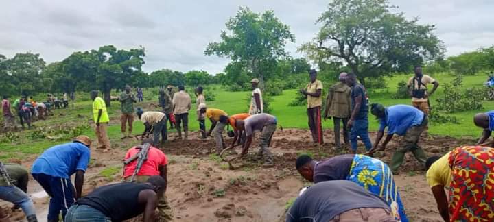 Centre-sud du Burkina Faso :VDP et populations cultivent le même champ à Bonga